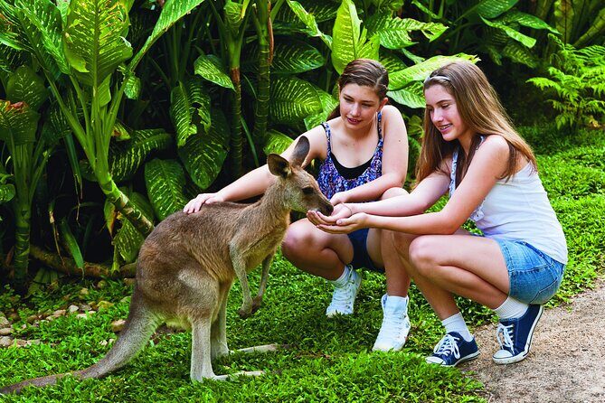 Kuranda Wildlife Experience Deluxe Multi Attraction Pass - Key Points