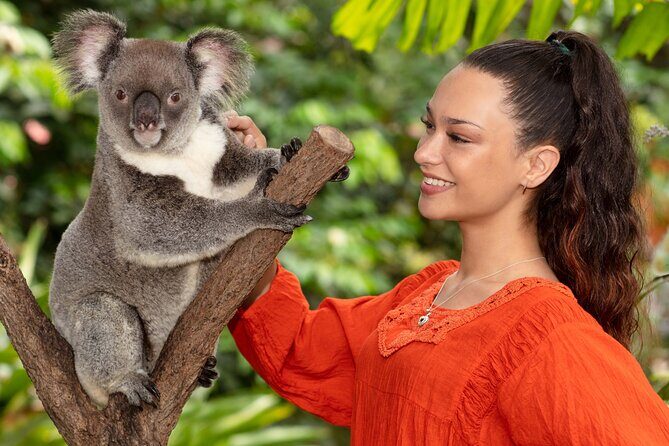 Kuranda Wildlife Experience Deluxe Multi Attraction Pass - Who Should Consider This Tour?