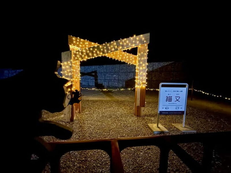 Kurobe Gorge: Night Train Tour with Stargazing - Exploring Kurobe Gorge: A Nighttime Perspective