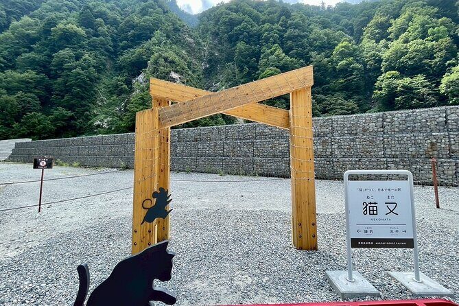 Kurobe Gorge Railway Private Tour - Who Will Love This Tour?