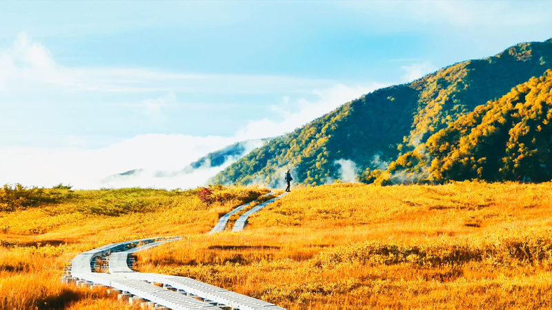 Kurobe Tateyama & Kamikochi Autumn Scenery Two-Day Tour: Tateyama Kurobe Alpine Route & Kamikochi Hiking (Departing from Nagoya) - Is this two-day mountain trip right for you?