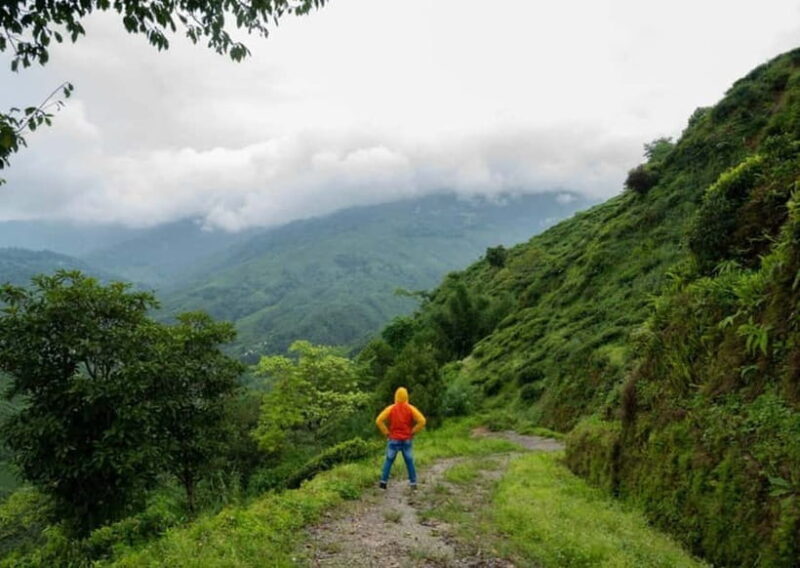 Kurseong: White Orchid Trail Hike with Hotel Pickup - Who Is This Tour Best For?
