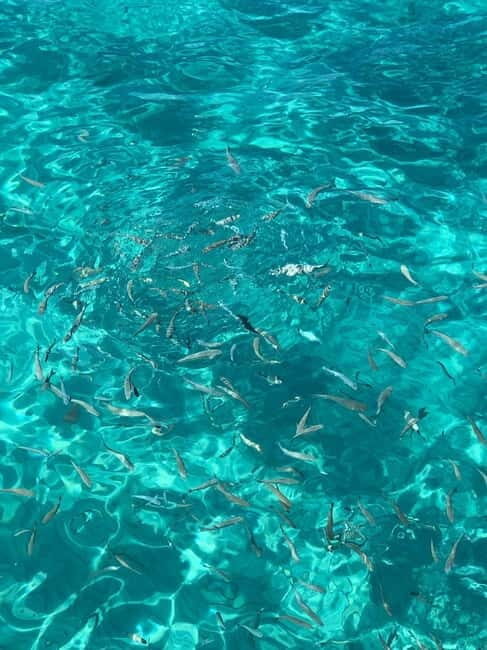 Kusadasi: Aegean Sea Boat Tour with Lunch - FAQ