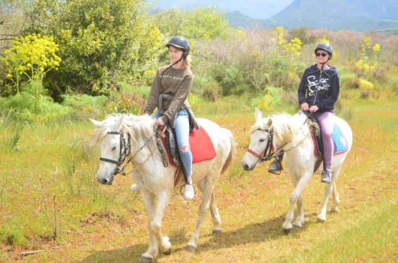 Kusadasi: Beach and Forest Horse Riding Tour - An Authentic Ride Through Kusadasi’s Natural Beauty