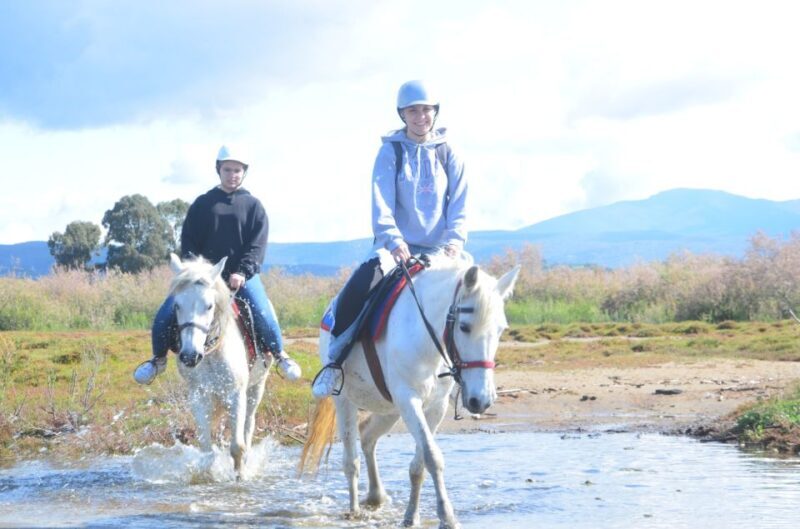 Kusadasi: Beach and Forest Horse Riding Tour - Who Would Enjoy This Tour?