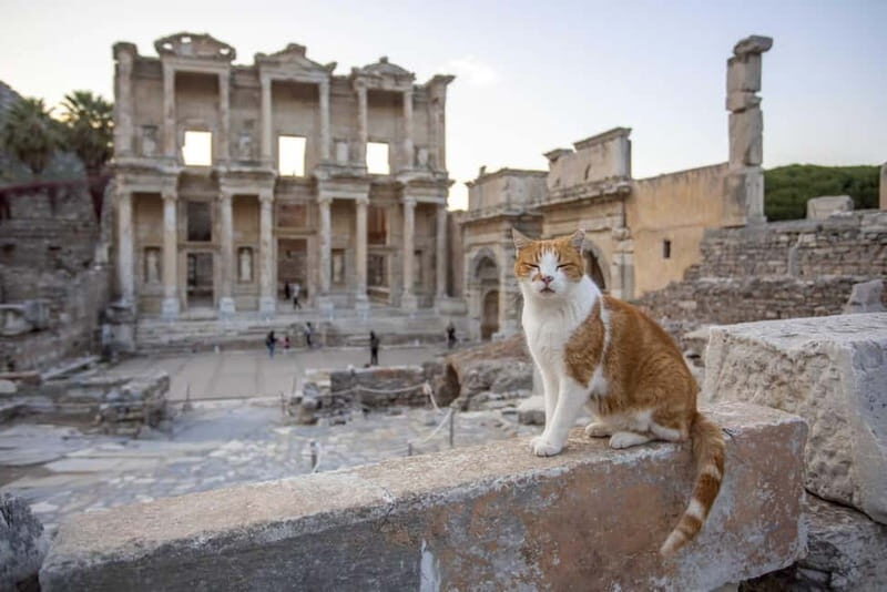 Kusadasi: Ephesus, Virgin Mary House & Artemis Temple Tour - Key Points