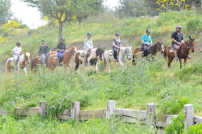 Kusadasi Horse Riding Beach and Forest options with Transfer - What Makes This Tour Stand Out?