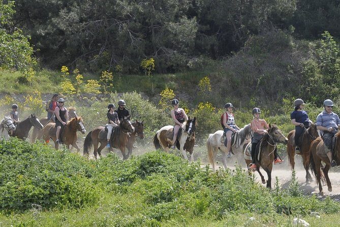 Kusadasi Horse Riding Beach and Forest options with Transfer - Authentic Insights from Fellow Travelers