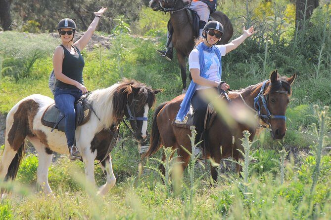 Kusadasi Horse Riding Beach and Forest options with Transfer - Who Is This Tour Best For?
