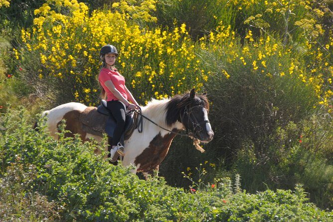 Kusadasi Horse Riding Beach and Forest options with Transfer - FAQ