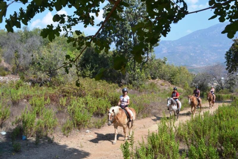 Kusadasi: Horse Riding Beach and Forest w/Transfer - Key Points