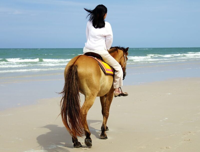 Kusadasi: Horse Riding Beach and Forest w/Transfer - Why Choose This Experience?
