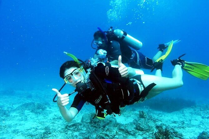 Kusadasi Scuba Diving - A Closer Look at Kusadasi Scuba Diving