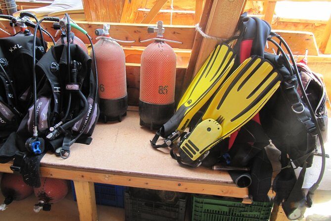 Kusadasi Scuba Diving Experience w/Instructor incl. Transfer - An In-Depth Look at the Kusadasi Scuba Experience