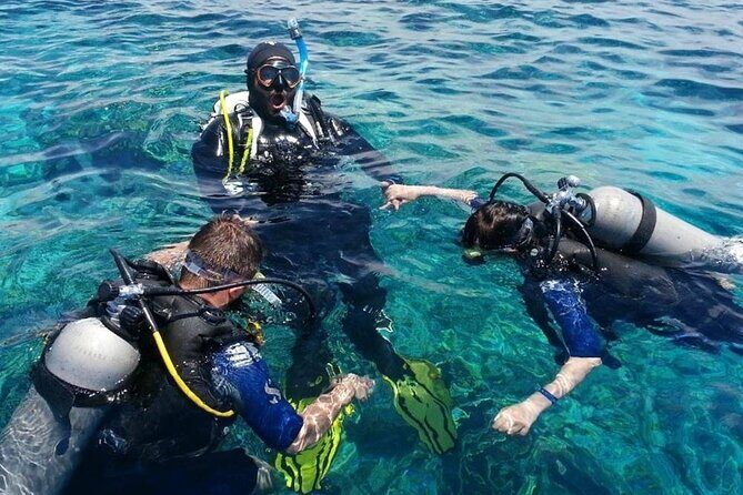 Kusadasi Scuba Diving Tour By Local Experts - The Experience: A Detailed Breakdown
