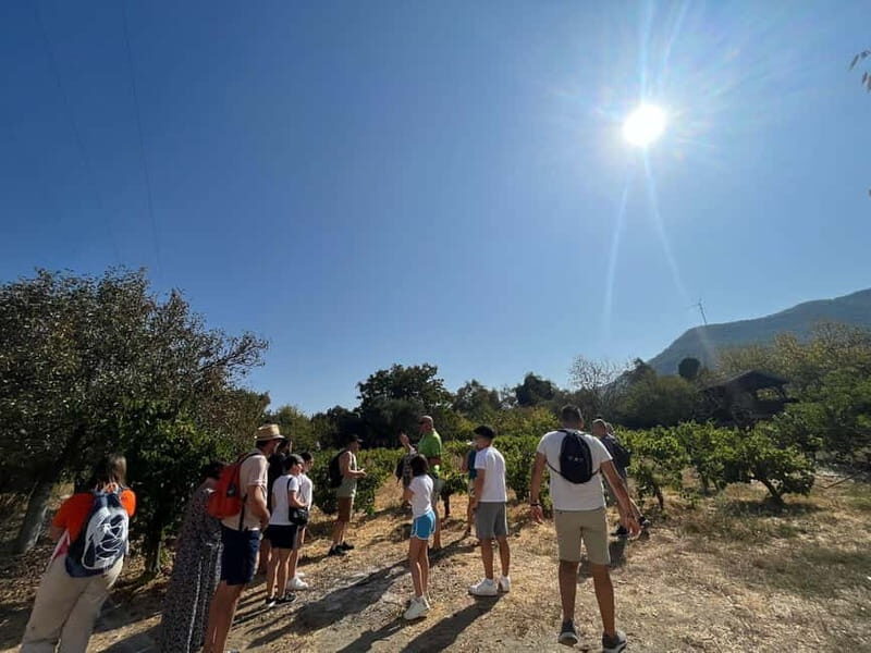 Kusadasi Village Tour & Traditional Food Tasting - Who Should Take This Tour?