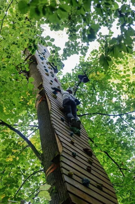 Küssnacht: Ropes Park Rigi Climbing Adventure with Entry Ticket - Experience Swiss Adventure at Küssnacht’s Ropes Park Rigi with Stunning Views, Varied Courses, and Professional Safety