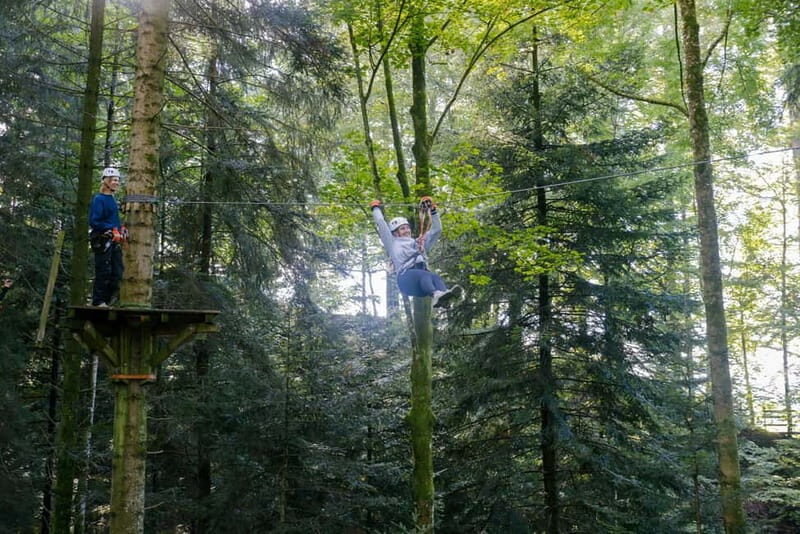 Küssnacht: Ropes Park Rigi Climbing Adventure with Entry Ticket - Key Points