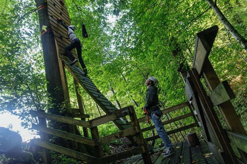 Küssnacht: Ropes Park Rigi Climbing Adventure with Entry Ticket - Why the Ropes Park Rigi Is Worth It