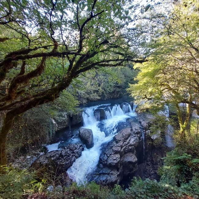 Kutaisi: Okatse-Martvili Canyons,Prometheus Cave, Waterfalls - Who Should Consider This Tour?