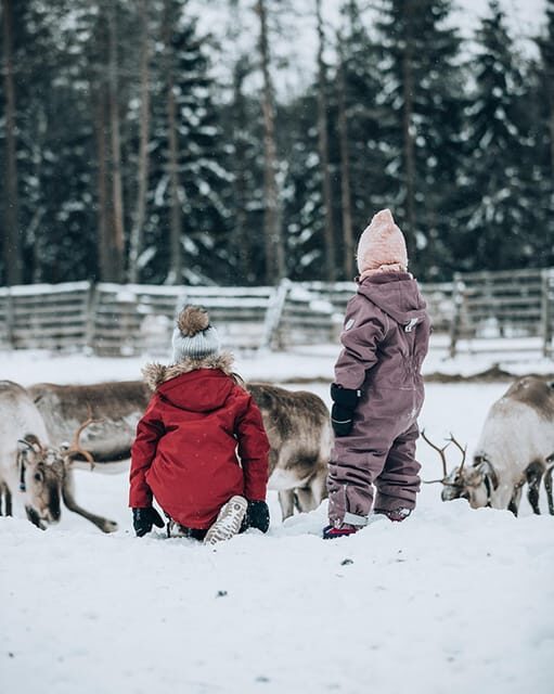 Kuusamo: Reindeer Sleigh Ride and Farm Visit - An in-depth look at the Kuusamo Reindeer Farm Experience