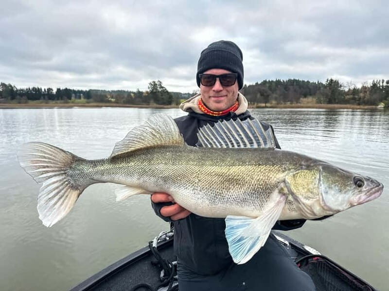 Kuusisto island: Private Fishing Trip in the Archipelago - Discovering the Finnish Archipelago: An In-Depth Review