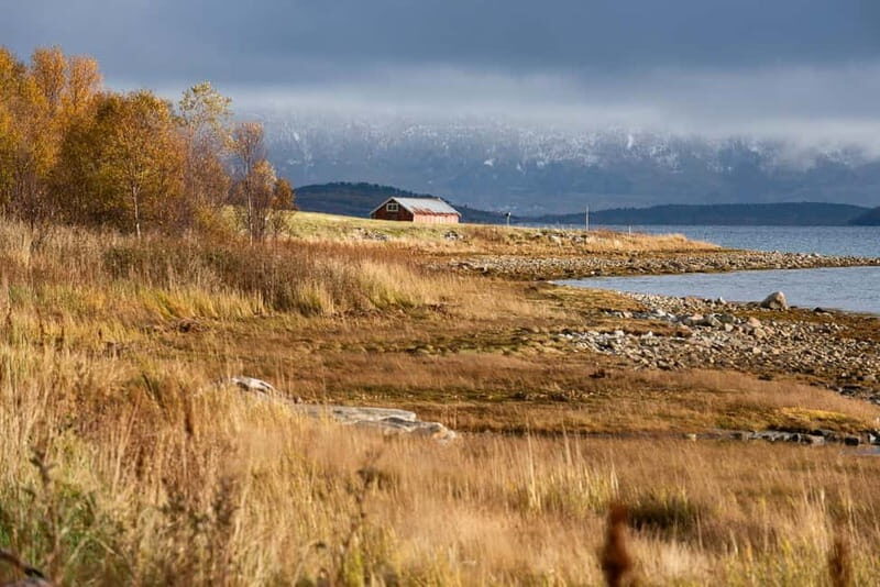 Kvaløya Island: Photography Tour with Snacks - Key Points