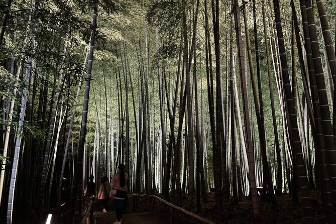 Kyoto 1 Day Golden Route Bus Tour - Final Thoughts