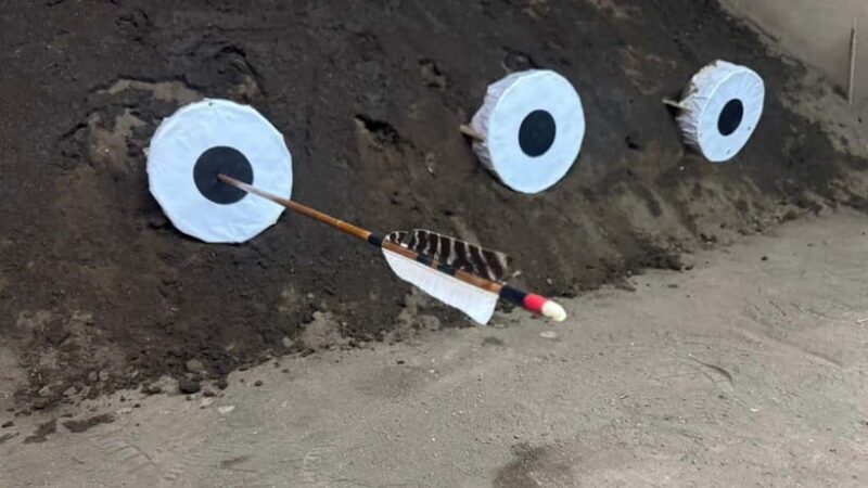 Kyoto: 1-Hour Indoor Seated Archery Experience - Who Will Love This Experience?