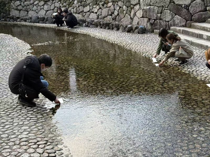 Kyoto 10 Shrines Half-Day Small Group Cycling Tour - Who is likely to enjoy this ride?