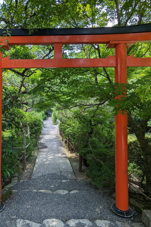 Kyoto: 100% Private Custom Walking Tour (4/8 Hrs) - Final Thoughts: Is It Worth It?