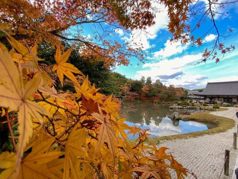 Kyoto: 2-Hour Guided Tour of Arashiyama's Autumn Leaves - A Deeper Look at the Tour Experience
