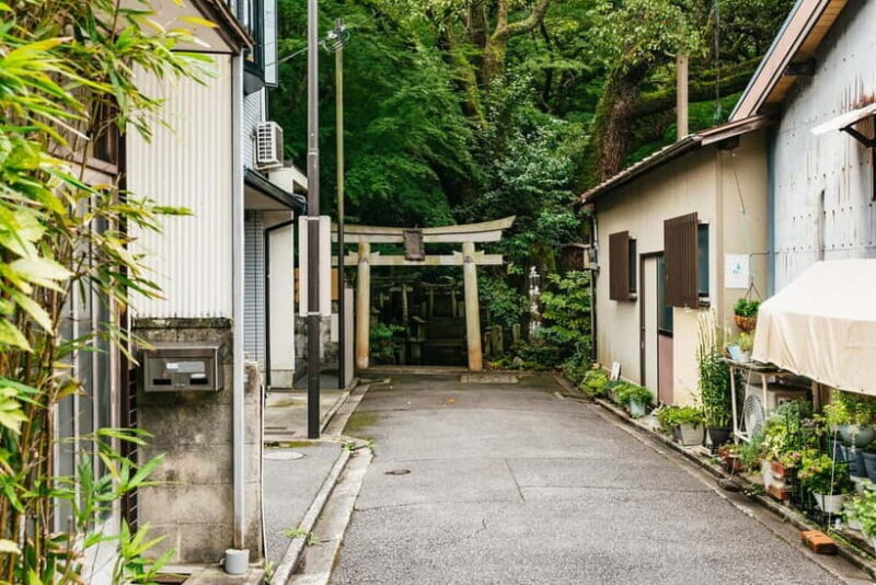 Kyoto: 3-Hour Fushimi Inari Shrine Hidden Hiking Tour - Final Thoughts