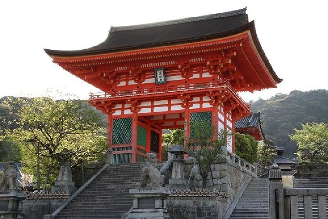 Kyoto Afternoon Tour (Round Trip from Kyoto) - Who Should Consider This Tour?