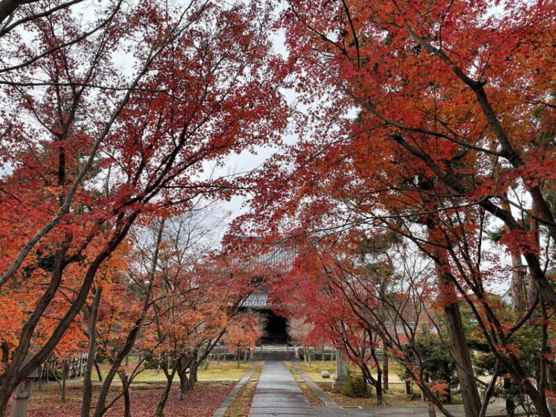 Kyoto: ALL Included Customized Sightseeing Tour with Local - Exploring Kyoto in 3 Hours: A Deep Dive into the Details