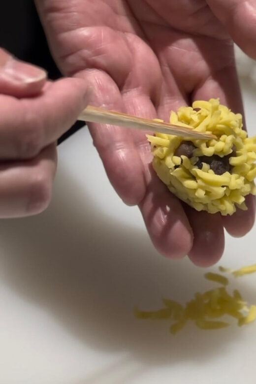 Kyoto: ALL Included Local Activity Tour - FAQ