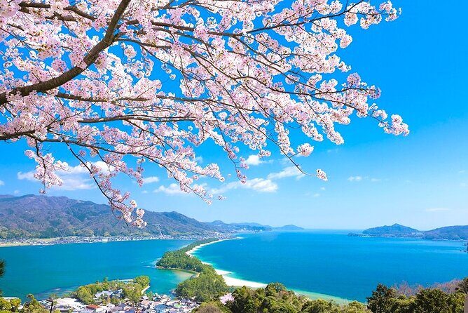 Kyoto Amanohashidate and Ine No Funaya Tour from Osaka - What Travelers Say