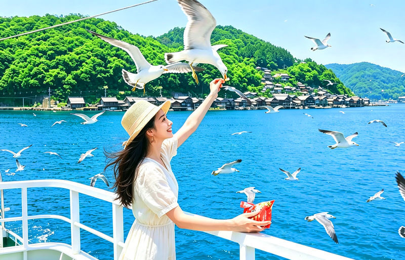 Kyoto Amanohashidate & Ine Boathouse: Amanohashidate & Ine Boathouse Secret Spot Discovery - Sea Village Day Trip (From Osaka) - What to know before you book