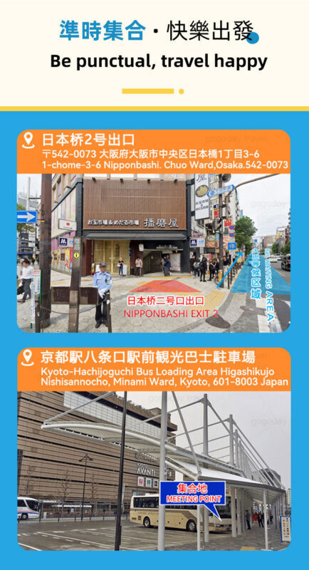 Kyoto Amanohashidate & Ine Boathouse: Amanohashidate & Ine Boathouse Secret Spot Discovery - Sea Village Day Trip (From Osaka) - Amanohashidate: the view from Mt. Monju