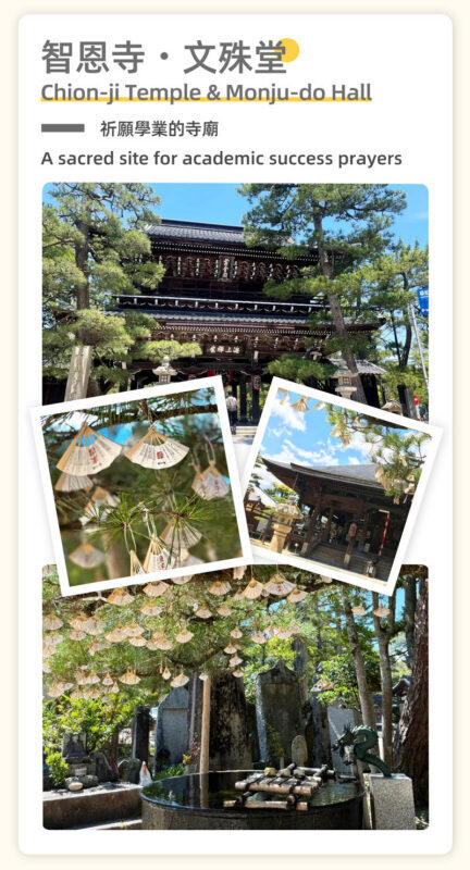Kyoto Amanohashidate & Ine Boathouse: Amanohashidate & Ine Boathouse Secret Spot Discovery - Sea Village Day Trip (From Osaka) - Is the $51.19 starting price good value?