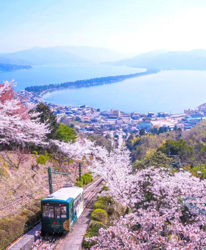 Kyoto Amanohashidate & Ine Funaya Day Trip (Optional Tango Train and Miyama Route) - Ine’s boathouses are best seen from the bay