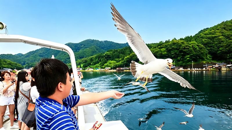 Kyoto Amanohashidate & Ine Funaya Full-Day Guided Tour - Two destinations, one full day from Kyoto