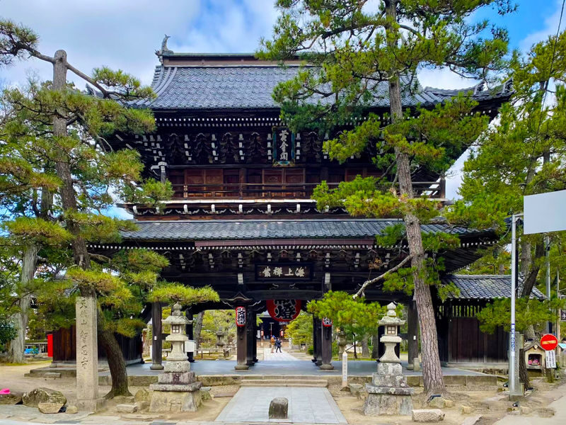 Kyoto Amanohashidate & Ine Funaya Full-Day Sightseeing Experience - Feeding seagulls adds a lively pause