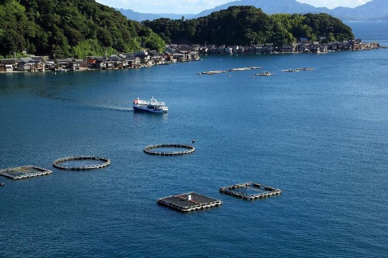 Kyoto Amanohashidate Ine Sightseeing 2-day Pass - What to know before you go