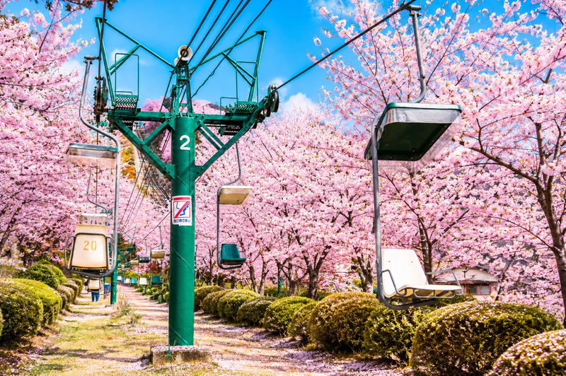 Kyoto Amanohashidate & Miyama Village: Includes boat cruise + cable car + crab lunch (pickup/drop-off in Osaka or Kyoto) - Miyama’s thatched roofs and country quiet