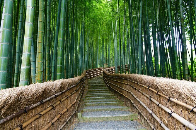 Kyoto and Miyama Full Day Tour from Osaka - Why Choose This Tour?