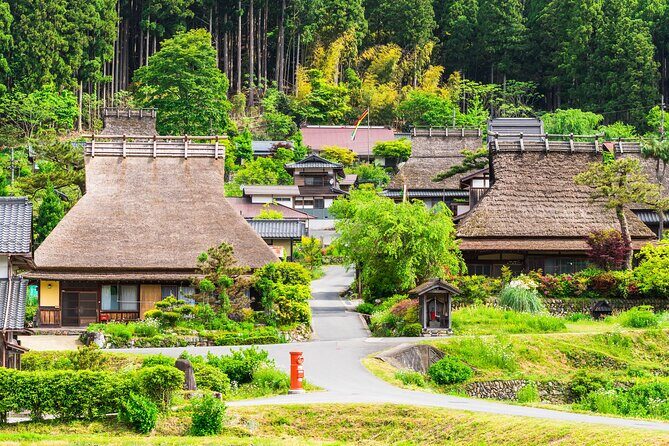 Kyoto and Miyama Full Day Tour from Osaka - What Travelers Are Saying