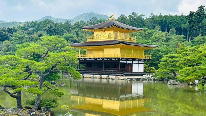 Kyoto and Nara Customised Full Day Private Tour with Pickup - In-Depth Look at the Kyoto and Nara Private Tour