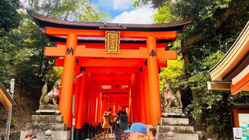 Kyoto and Nara Customised Full Day Private Tour with Pickup - A Detailed Breakdown of the Itinerary