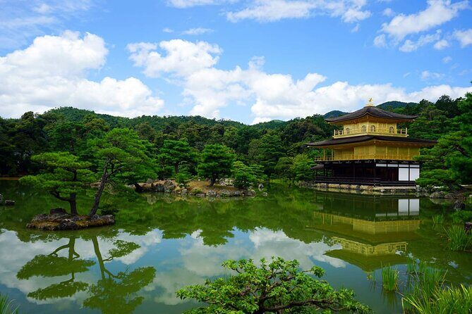Kyoto and Nara Day Tour from Kyoto - Exploring the Details: What to Expect on Your Kyoto and Nara Day Tour
